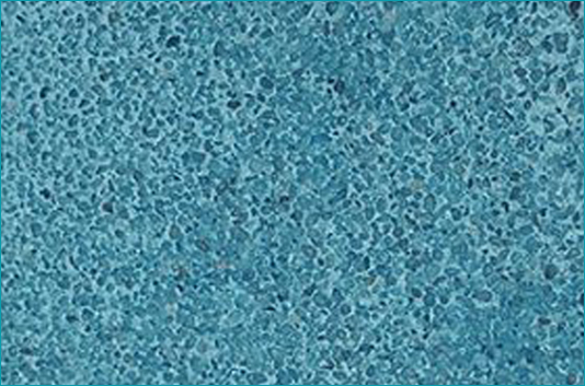 King Pools & Spas - Plaster